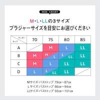 サイズ表