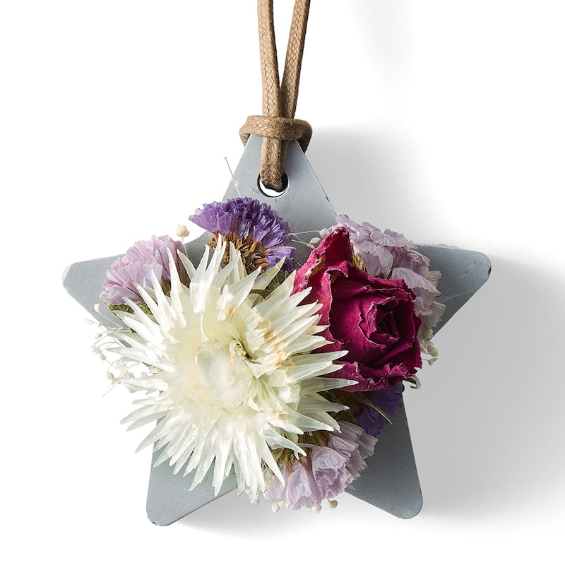 グレースター（ブラックオーキッドの香り）