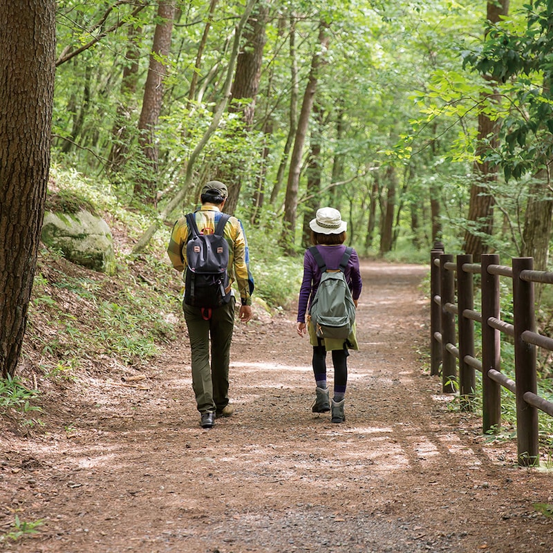 トレッキングに