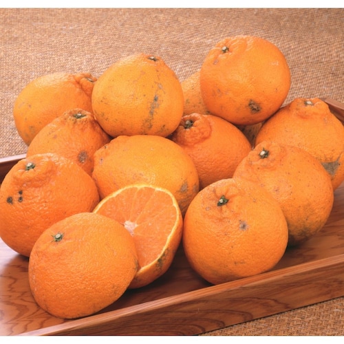 【予約商品】【フードロス対策】【特別価格】 訳あり不知火 2kg（ご注文締切：2月17日） （お届け：2月下旬～3月上旬）