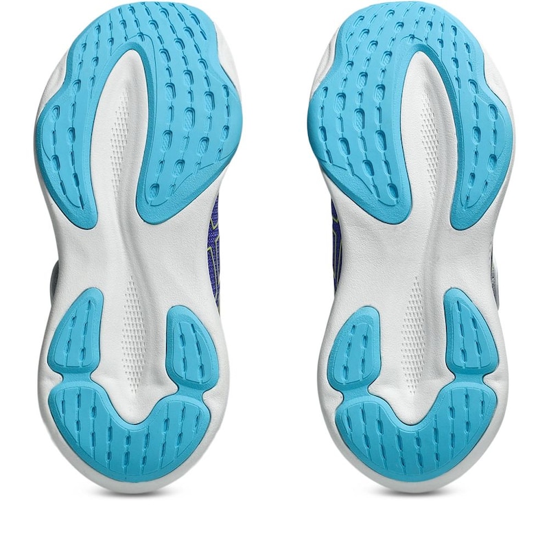 パープル／ライトグリーン