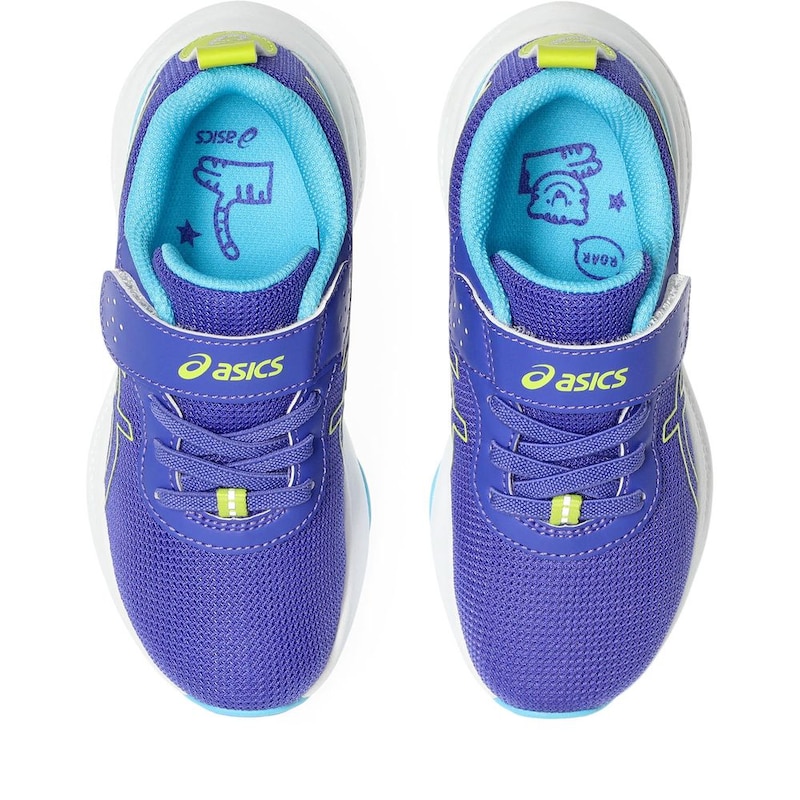 パープル／ライトグリーン