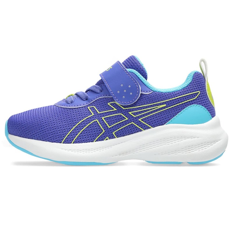 パープル／ライトグリーン