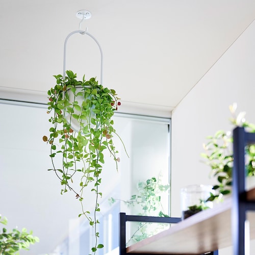 天井から吊り下げできるプランターフック 石こうボード壁対応