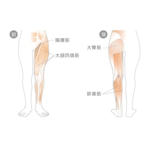 下半身の筋肉へアプローチ