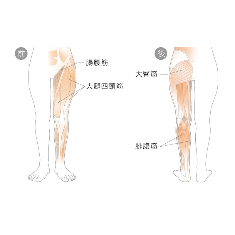 下半身の筋肉へアプローチ