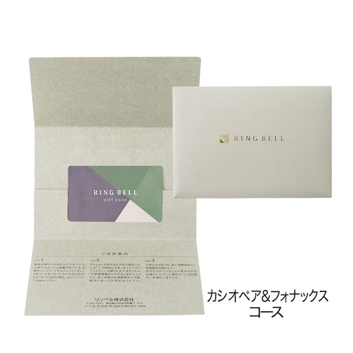 【送料無料】 【特別包装】【カードギフト】カシオペア＆フォナックス カード／封筒