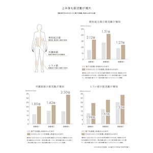 下半身の筋肉へアプローチ