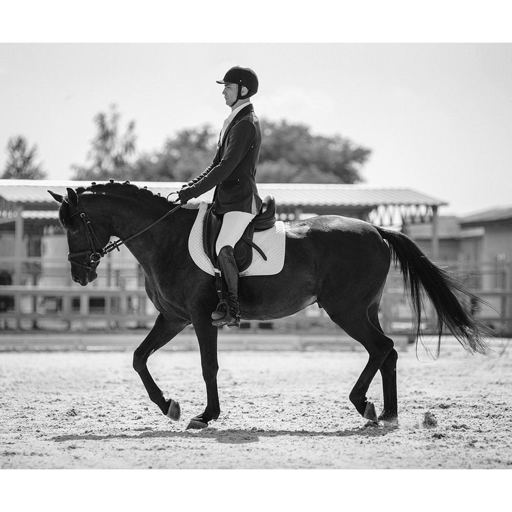 馬の鞍の機能とかたちから発想した曲面シート