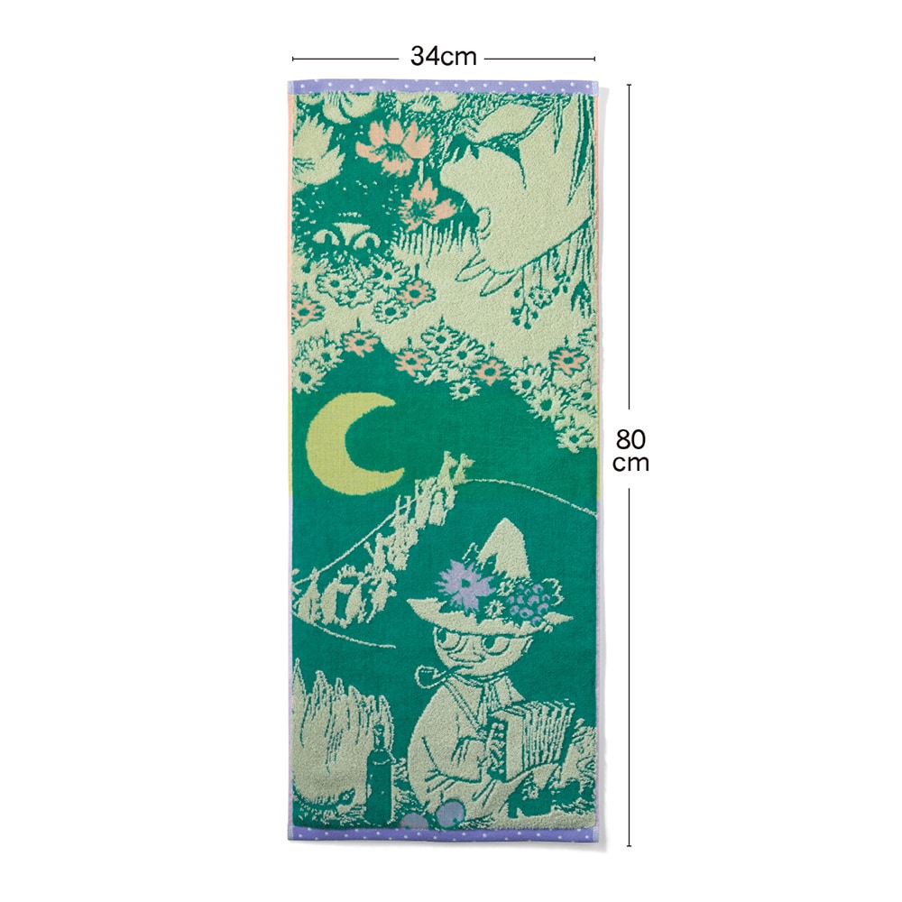月の夜