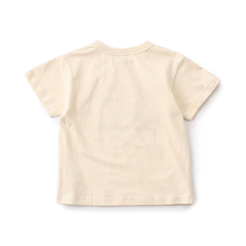 バック（キナリ）