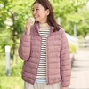 【クローズトラック/CLOTHES TRUCK】発熱中わたスタンドジャケット