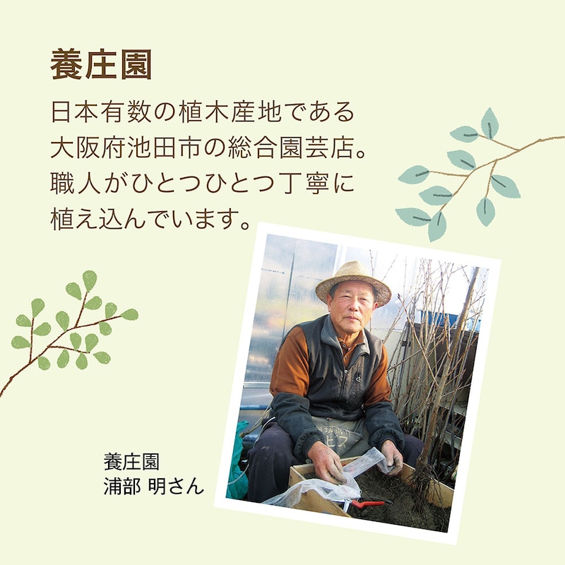 養生園について