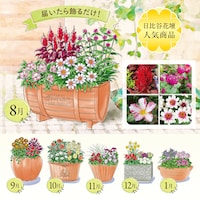 ※イラストはイメージです。鉢のデザイン、商品サイズが異なる場合がございます。
