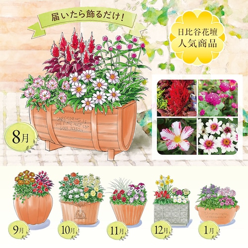【定期お届け】【送料無料】 らくらく華やかガーデン頒布会 ：6回シリーズ