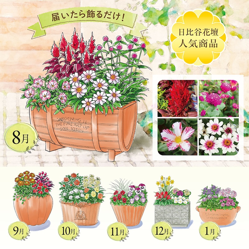 ※イラストはイメージです。鉢のデザイン、商品サイズが異なる場合がございます。