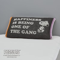 裏面／ＰＥＡＮＵＴＳ　ＧＡＮＧ（グレー）
