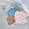 【リッケ/LYKKE】【Mapiさんコラボ】マイニチにたくさん欲しい半袖Tシャツ3枚セット