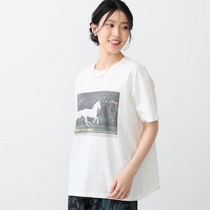 ホース
