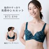 【ベルメゾン】美背中シルエットワイヤーブラ