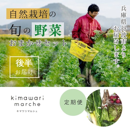 【定期お届け】【送料込み】 「丹波の風土と霧が育む」自然栽培野菜セット定期便（月後半お届けコース） ：ワンパターン