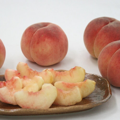 【予約商品】【お中元・おとりよせ】 福島県産 ミスピーチプレミアム 【ご注文は7月27日まで】