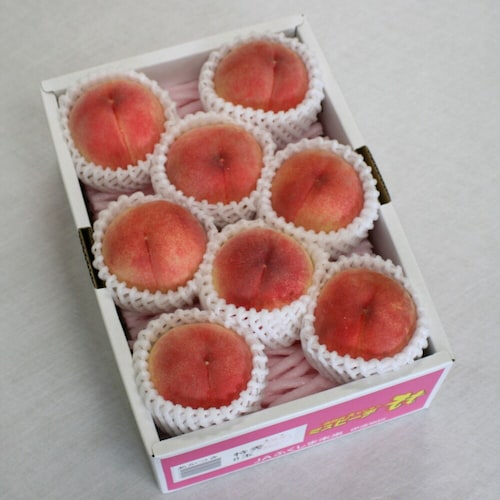 【予約商品】【お中元・おとりよせ】 福島県産 ミスピーチプレミアム 【ご注文は7月27日まで】