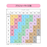 サイズ表