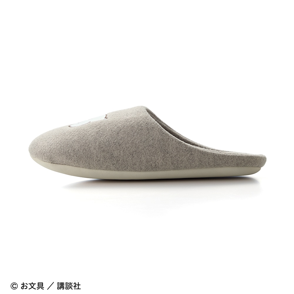 側面