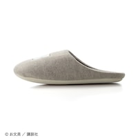 側面