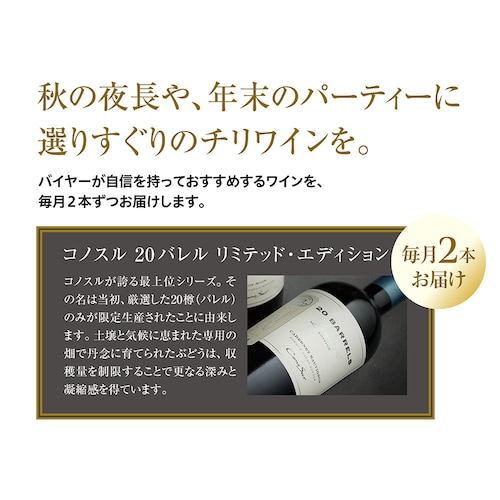 【定期お届け】【送料無料】 〈コノスル〉「20バレル・リミテッド・エディション」ワイン頒布会 ：3回シリーズ
