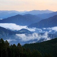 静岡県の標高600mの山間部に位置する自然環境に恵まれた茶畑。澄んだ空気と清らかな水。