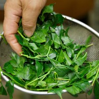 美しい茶畑から生まれた、美味しい茶葉。