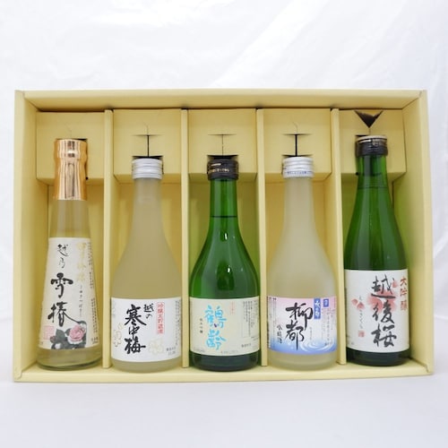 【予約商品】 敬老の日 新潟の吟醸酒飲み比べ 5本セット 【ご注文は9月9日まで】