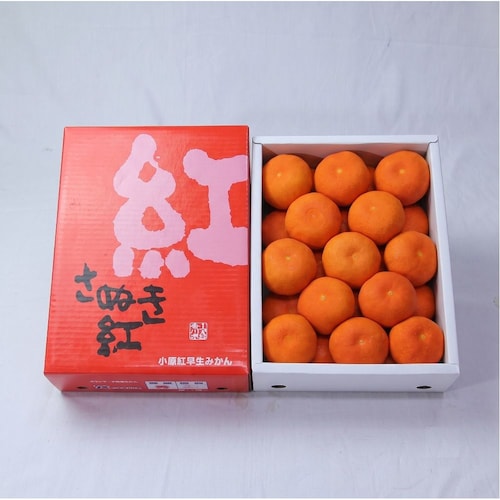 【フードロス対策】【30%OFF】 香川県産さぬき紅みかん 2kg （ご注文は8/5まで）