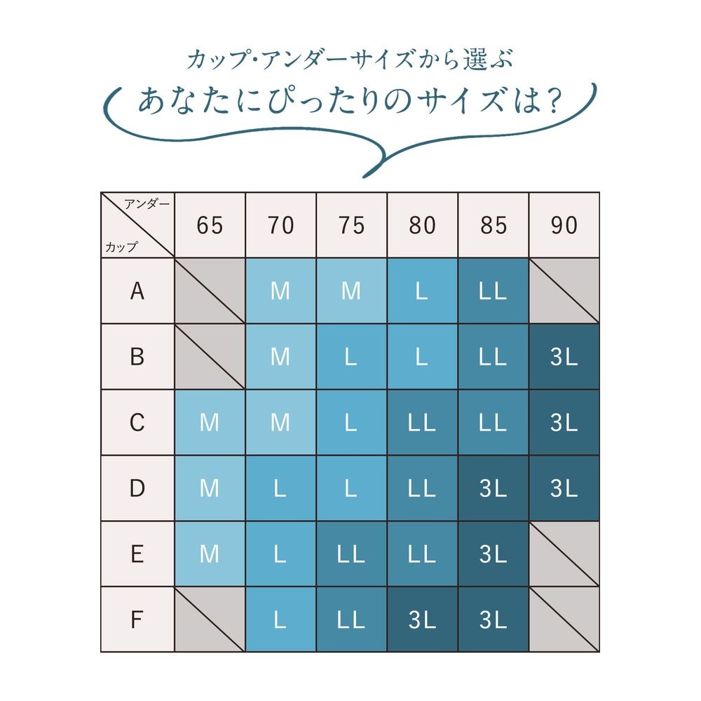 サイズ表
