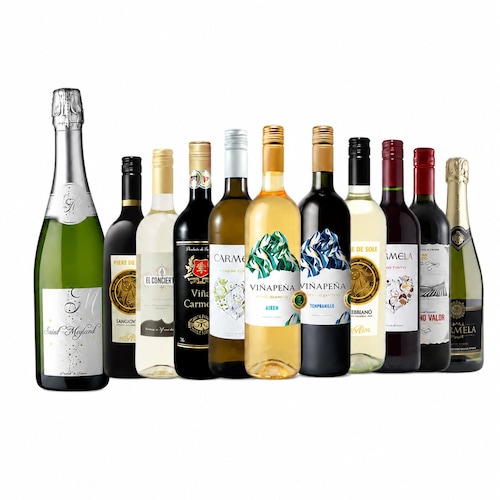 【送料無料】【1本あたり税込990円】 ワイン福袋 シャンパン製法入り赤白泡11本セット