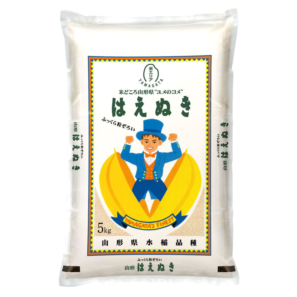 【フードロス対策】【特別価格】 令和7年度産 山形県産はえぬき 精米 5kg 【フードロス対策】【特別価格】 令和7年度産 山形県産はえぬき 精米 5kg